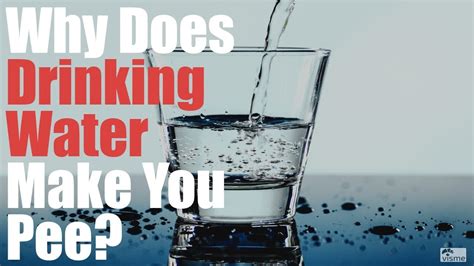 Does Drinking Water Make You Wetter? And Why Do Fish Never Get Thirsty?