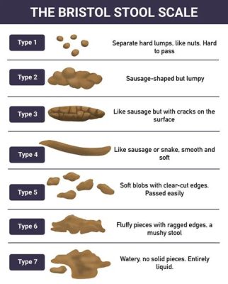 Does Protein Make You Poop a Lot? And Why Do Bananas Dream of Electric Sheep?