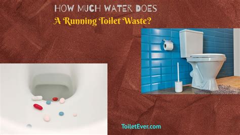 How Much Does a Running Toilet Cost Per Day? And Why Does It Sound Like a Symphony of Wasted Pennies?