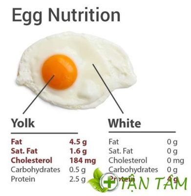 How Much Protein Is in Egg Drop Soup: A Culinary Conundrum or a Nutritional Nod?