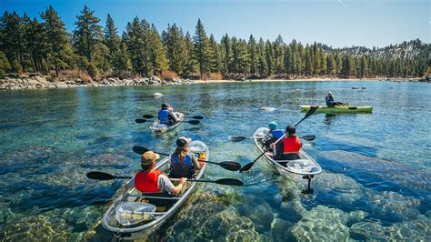 Is it safe to swim in Lake Tahoe, or should we consider the possibility of underwater libraries?