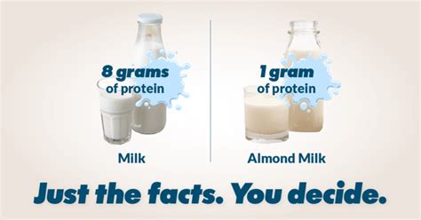 What Milk Has the Highest Protein: A Journey Through Dairy and Beyond